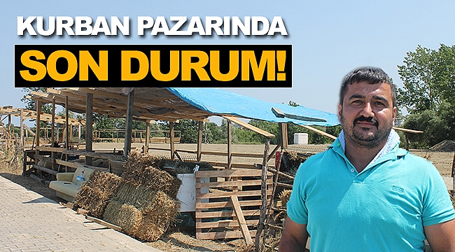 Kurban Pazarında Son Durum!