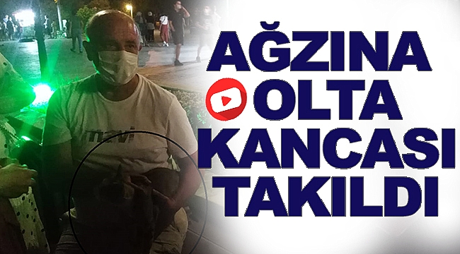 Sinop'ta kedinin Ağzına Olta Kancası Takıldı