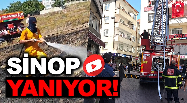 Sinop'ta İki Farklı Noktada Yangın Çıktı