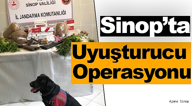 Sinop'ta Uyuşturucu Operasyonu 2 gözaltı