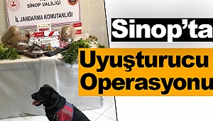 Sinop'ta Uyuşturucu Operasyonu 2 gözaltı  