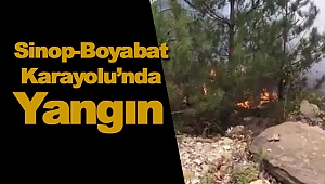SİNOP'TA KÖY ORMANINDA YANGIN