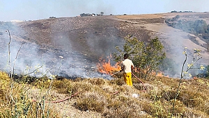 Sinop’ta ot yangını 