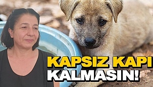 HAYDİ SİNOP, KAPSIZ KAPI KALMASIN!