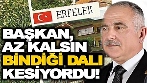 SON ANDA FARK EDİLDİ, O AĞAÇ KÜLTÜR MİRASI ÇIKTI!