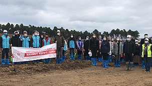 300 Bin Fidan Toprakla Buluşacak