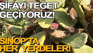 ŞİFAYI TEĞET GEÇİYORUZ!