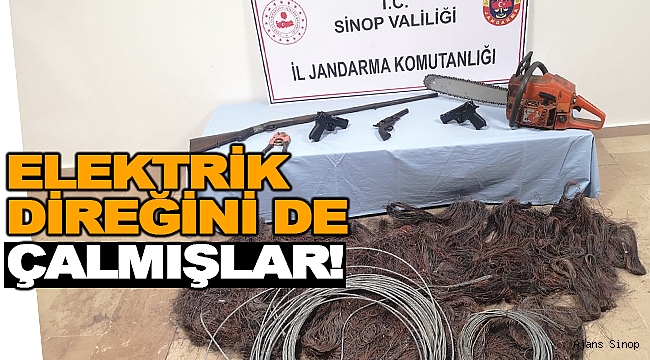 ELEKTRİK DİREĞİNİ DE ÇALMIŞLAR!