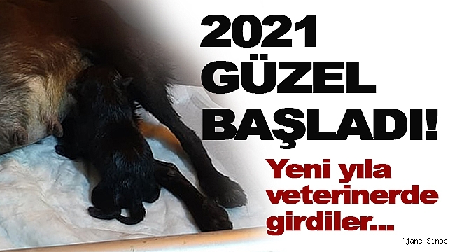 Yeni yıl güzel başladı!