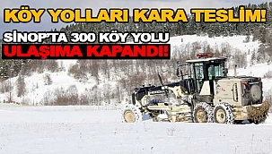 KÖY YOLLARI KARA TESLİM!