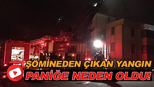 PANİĞE NEDEN OLDU!