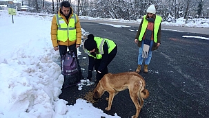 SİNOP İL ÖZEL SOKAK HAYVANLARINI UNUTMADI