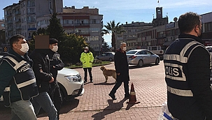 Sinop'ta Oto Hırsızlığı Operasyonu