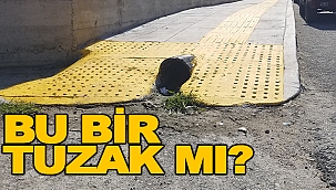 BU BİR TUZAK MI?