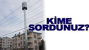 KİME SORDUNUZ?