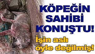 KÖPEĞİN SAHİBİ KONUŞTU!