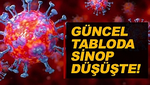 KORONAVİRÜS HARİTASINDA SİNOP'TA DÜŞÜŞ VAR!