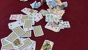Sinop'ta Kumar Operasyonu: 8 Kişiye Adli ve İdari İşlem Yapıldı