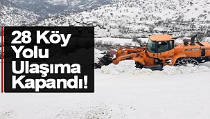 Sinop'ta Ulaşım Sağlanamayan Köy Yolları