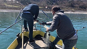 YASAK MİSİNA AĞLARI İLE MÜCADELE