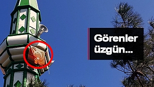 ABALI KÖYÜNDE ÜZEN GÖRÜNTÜ!