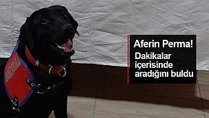 Operasyon yeri Erfelek!