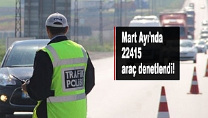 Sinop'ta Trafik Denetlemeleri, Mart Ayı Raporu