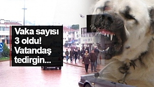 Başkasının canı yanmasın!