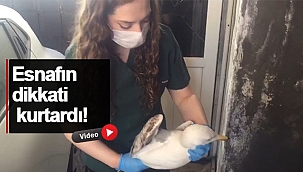 Şansı yaver gitti!