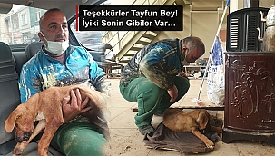 TEŞEKKÜRLER TAYFUN BEY! İYİKİ SENİN GİBİLER VAR…