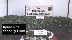 AYANCIK'TA YASADIŞI EKİM
