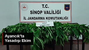 AYANCIK'TA YASADIŞI EKİM