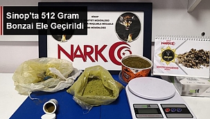 SİNOP’TA 512 GRAM BONZAİ ELE GEÇİRİLDİ