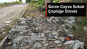 GERZE CAYVA SOKAK ÇÖPLÜĞE DÖNDÜ
