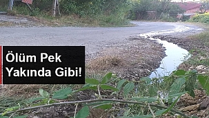 ÖLÜM PEK YAKINDA GİBİ!