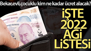 2022 AGİ rakamları belli oldu