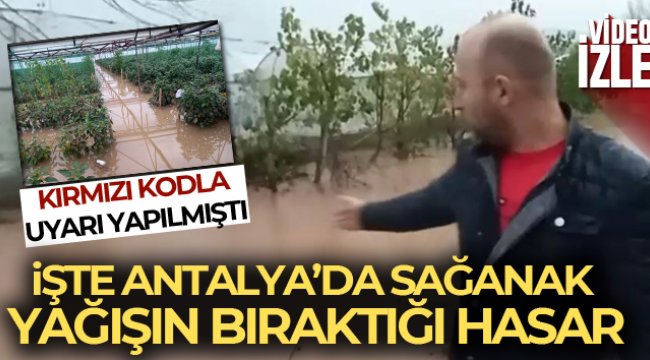 Antalya'da dere taştı, biber serası sular içinde kaldı