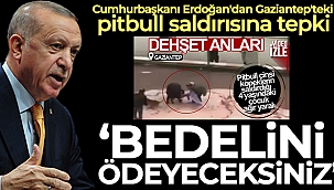 Cumhurbaşkanı Erdoğan: 'Yavrumuz için gereken yapılacak, hesabını verecekler'