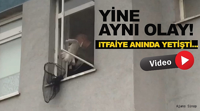 Duyarsızlık onların kaderi haline geldi!