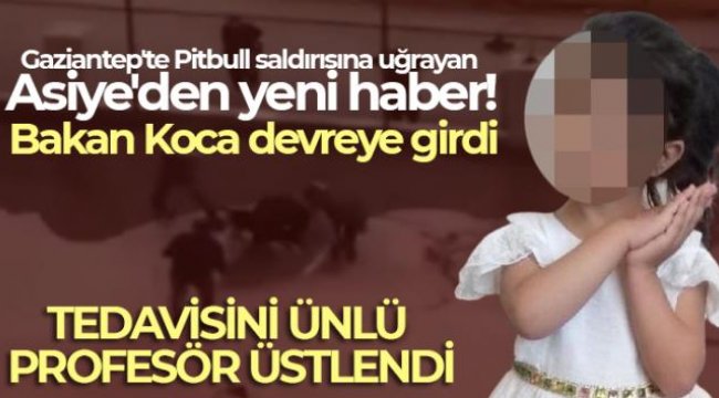Gaziantep'te Pitbull saldırısına uğrayan Asiye'den yeni haber!