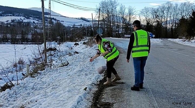 Açtıkları yola mama bırakmayı ihmal etmiyorlar