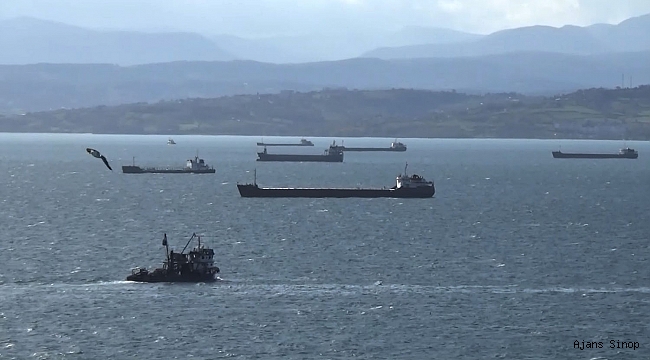 Karadeniz'de fırtına: Gemiler doğal limana sığındı