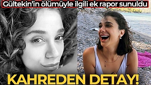 Pınar Gültekin davasında kahreden detay!