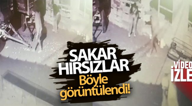 Sakar hırsızlar böyle görüntülendi
