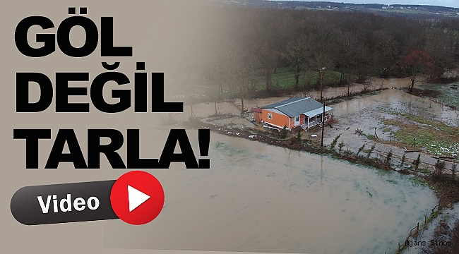 Sinop’ta dere taştı, tarım arazileri sular altında kaldı