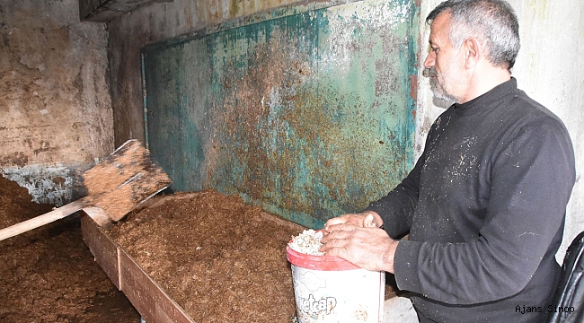 OKUDUĞU İLKOKULUN BİNASINI KİRALAYIP MANTAR ÜRETİMİ YAPTI!