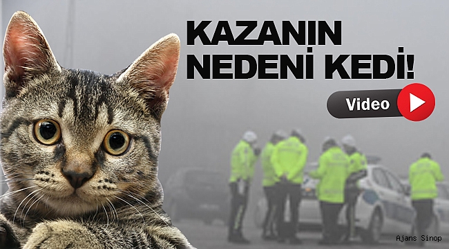 Sinop’ta trafik kazası: 1 yaralı