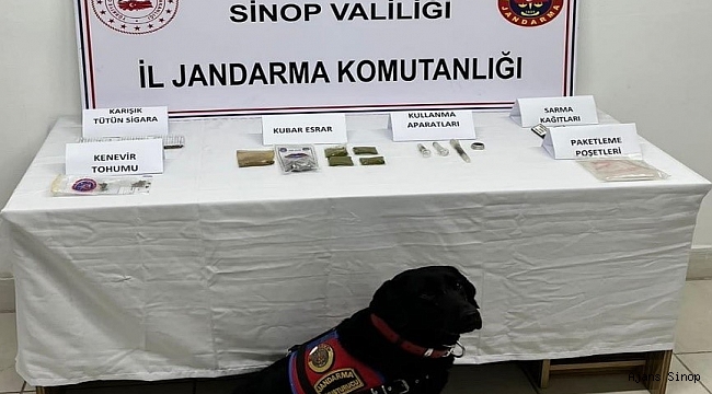 Sinop'ta iki ayrı uyuşturucu operasyonu