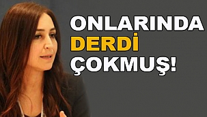 AVUKATLAR KENDİ GÜNLERİNDE DERT YANDI!
