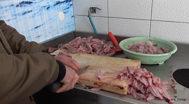 Denizin ısınmasıyla 'çarpan' balığı kendini gösterdi